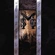 Msg [Us Import]