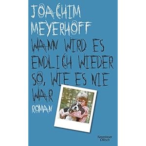 Wann wird es endlich wieder so wie es nie war: Roman (Alle Toten fliegen hoch, Band 2)