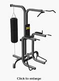 Everlast HBX Heavy Bag Stand w/ Bag