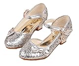 RoRykon 子供 フォーマル シューズ 子供フォーマル靴　パンプス フラワーガールズ シューズ女の子 子供靴シューズ発表会・卒入園式・入学式に子供スーツやドレスと合わせて (31/内寸約19.5c