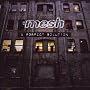 A Perfect Solution von Mesh