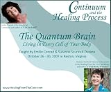 Continuum and the Healing Process: The Quantum Brain - Living in Every Cell of Your Body (10 DVD Set)