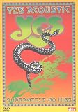 Yes - Acoustic [DVD]