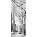 Eurographics DH-DT2021 Deco Home Raumteiler New West Side Story / Schiebevorhang / 100 x 240 cm, lichtdurchl�ssig