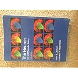 neuron cell and molecular biology 3e