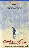 CIRCLES IN A FOREST