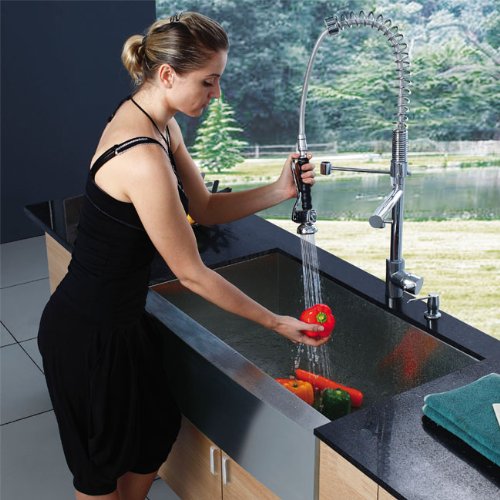 Vigo Industries VG15007 Farmhouse Faucet Dispenser Kitchen Sink, Steel