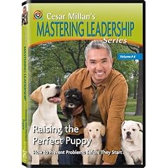Cesar Millan's Mastering Leadership Series Volume 6: Raising the Perfect Puppy (PAL Format)