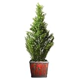 Mini Faux Cedar Tree- 3'