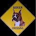 Boxer -- Full Color 16