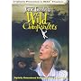 Jane Goodall's Wild Chimpanzees (Large Format)