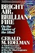 Bright Air, Brilliant Fire: On the Matter of the Mind