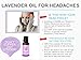 AromaOils Lavender Oil - 1 oz - 100% Pure Therapeutic Grade Scented Essential Oil - Best Now for Relaxation, Sleep, Headache, Migraine Relief, Stress Reduction, Massage Oil