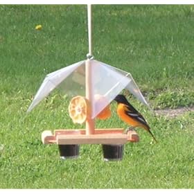 Looker Oriole Buffet Feeder - Bird Special by Looker Inc