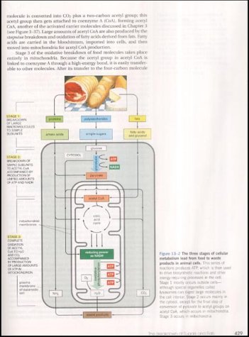 large image
