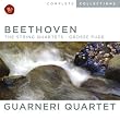 Beethoven: The String Quartets/ Grosse Fuge