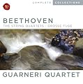 Beethoven: The String Quartets/ Grosse Fuge