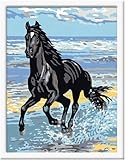 Ravensburger 28092 - Pferd am Strand - Malen nach Zahlen, 18 x 24 cm