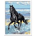 Ravensburger 28092 - Pferd am Strand - Malen nach Zahlen, 18 x 24 cm