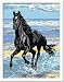 Ravensburger 28092 - Pferd am Strand - Malen nach Zahlen, 18 x 24 cm