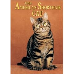 The American Shorthair Cat (Learning About Cats)