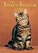 american shorthair - The American Shorthair Cat (Learning About Cats)