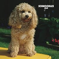 Schnoodles 2008 Square Wall Calendar