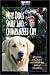 Why Dogs Smile and Chimpanzees Cry
