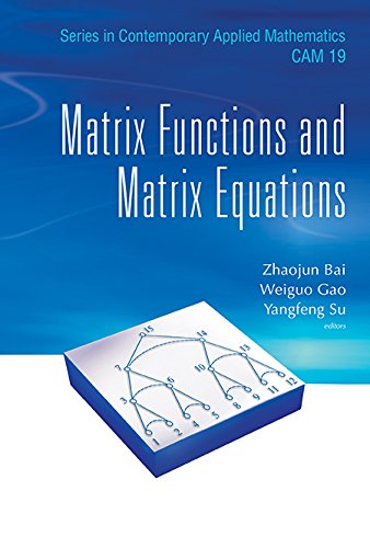 Matrix Functions and Matrix Equations (Series in Contemporary Applied Mathematics)