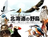 北海道の野鳥 北海道の野鳥