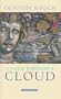 A Voice Through A Cloud