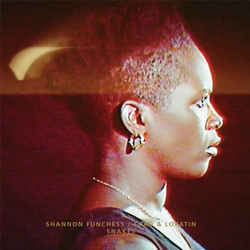 Produkt-Bild: Snakes / Flying Dream [VINYL]