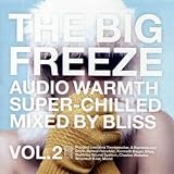 The Big Freeze Vol.2: Mixed By Bliss