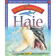Tessloffs erstes Antwortbuch Haie