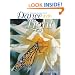 Paint Watercolors That Dance with Light Paint Watercolors That Dance with Light