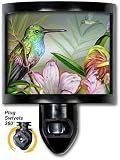 Hummingbird at Rest - Night Light by Art Plates