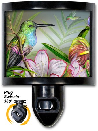 Hummingbird at Rest - Night Light by Art Plates