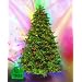 Barcana, 7 1/2 Foot, Monterey Pine iTree Techno Tree, Clear Incandescent Mini Lights and Multi Incandescent Mini Lights 650 650 51HVSCAK%2BUL. AA75 Barcana, 7 1/2 Foot, Monterey Pine iTree Techno Tree, Clear Incandescent Mini Lights and Multi Incandescent Mini Lights 650 650