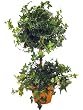 MINI ENGLISH IVY TOPIARY 23"H.