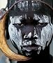 Last African Warriors