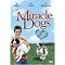 Top Selling Dog Movies