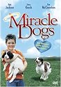 Miracle Dogs