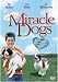 DVD : Miracle Dogs