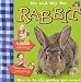 Me & My Pet Rabbit (Me and My Pet (Twocan Paperback))