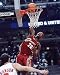 LeBron James Cleveland Cavaliers 8x10 Photo