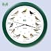 KooKoo Die singende Vogeluhr. Wanduhr Singvögel mit Funkuhr