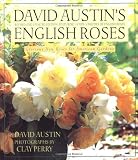 David Austins English Roses: Glorious New Roses for American Gardens
