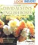 David Austin's English Roses: Glorious New Roses for American Gardens