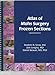Atlas of Mohs Surgery Frozen Sections, Updated Edition