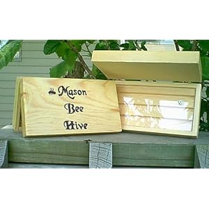 Hickory Switch – Mason Bee Hive Observatory